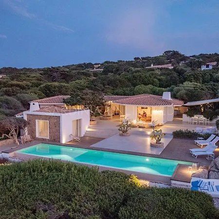 Janas Eterea * Portobello