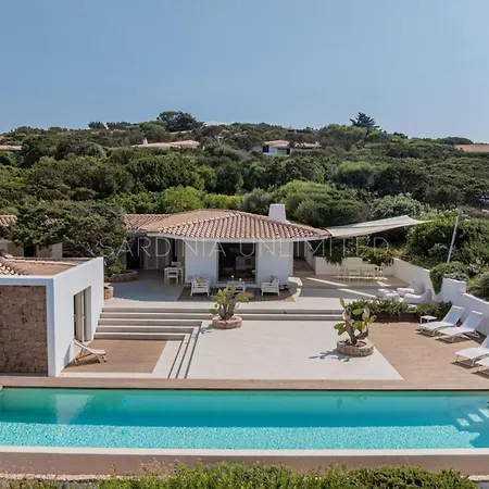 Janas Eterea * Portobello