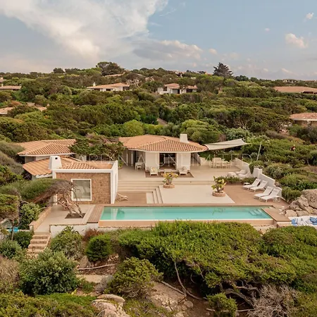 Janas Eterea * Portobello