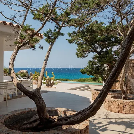 Janas Eterea * Portobello