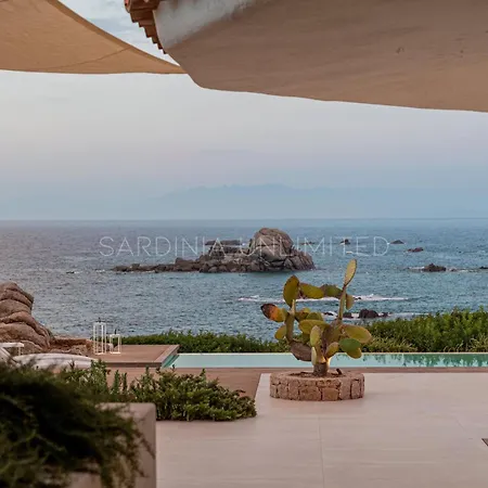 فيلة Janas Eterea *